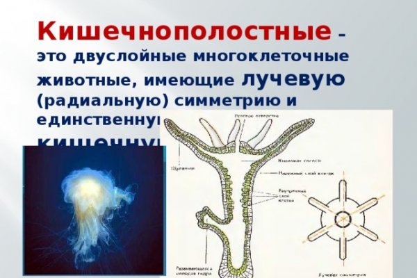 Кракен сайт маркет