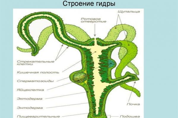 Kraken вход и ссылки