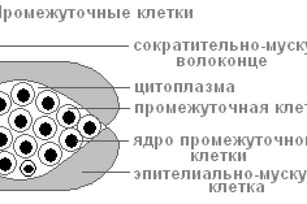 Как зайти в кракен торе