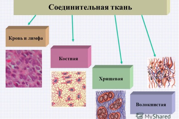 Кракен сайт в тор браузере