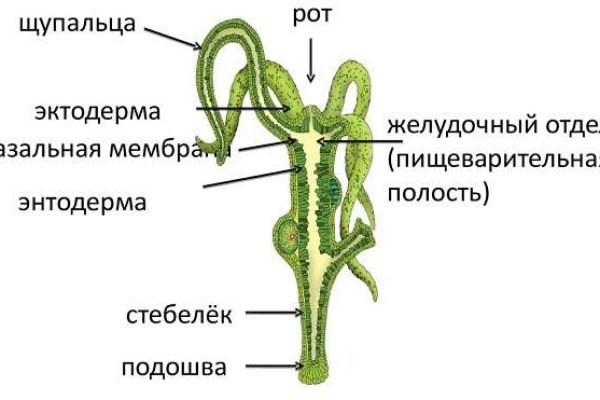 Kraken оригинальная ссылка